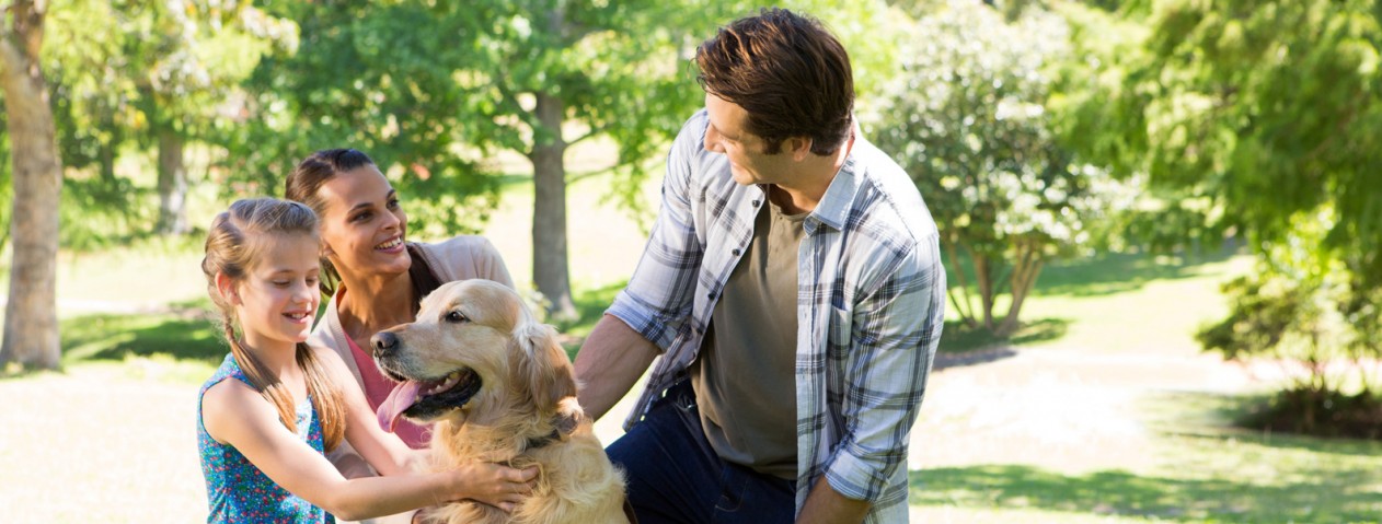 The best pet food ever The best pet food ever